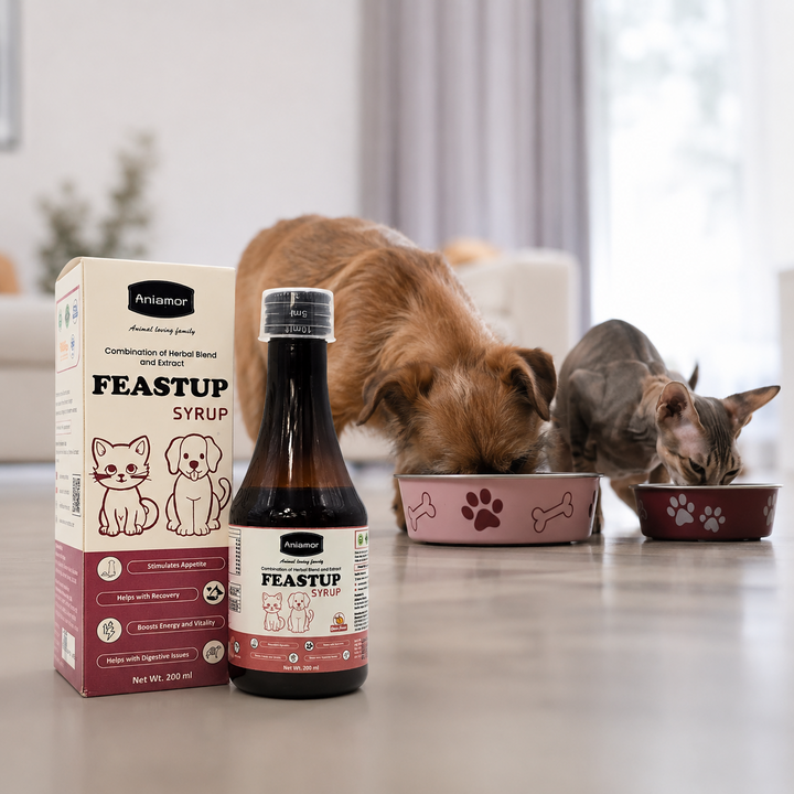 Aniamor Pet Supplements Feastup Syrup 200ml (Appetite Booster)